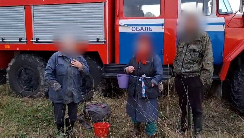 За сутки в лесах Витебской области потерялись 7 человек