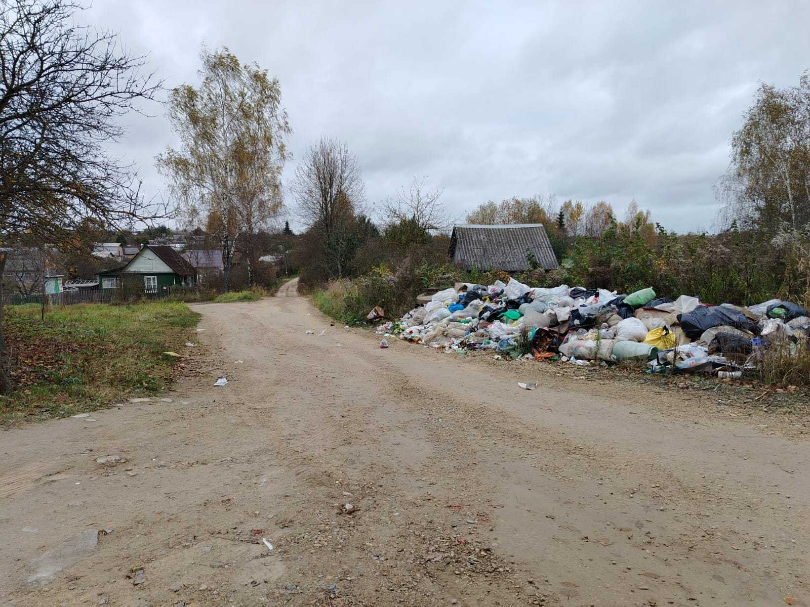 За последнюю неделю в Витебской области выявили около 300 стихийных свалок
