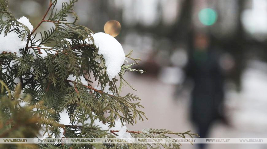 Погода в Витебске на 27 января: мокрый снег и до -2°C