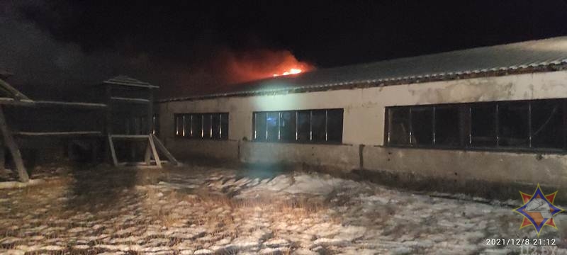 В Орше произошел пожар на предприятии по производству пиломатериалов