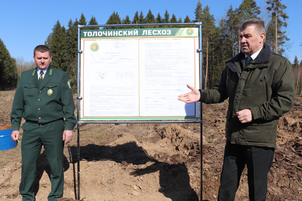Новые технологии ведения лесного хозяйства обсудили на семинаре-совещании в Толочинском лесхозе