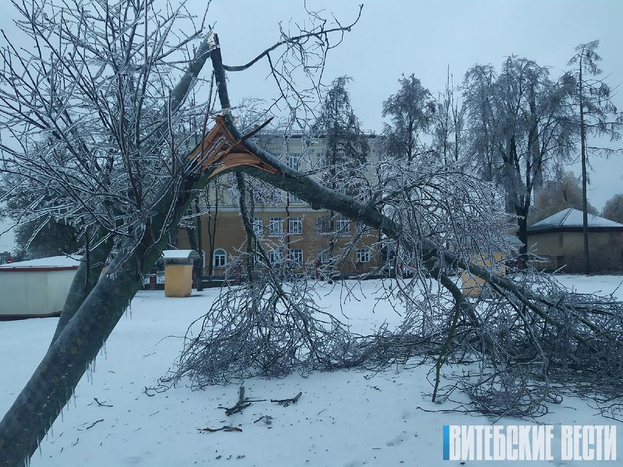 Красный уровень опасности был впервые введен в Витебске и области из-за сильного гололеда и шквального ветра