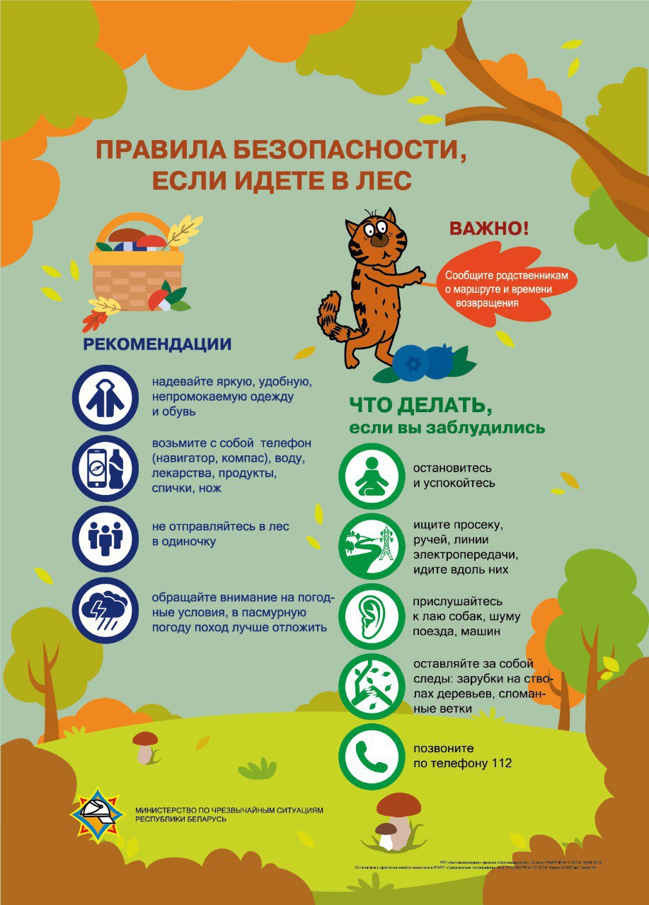 В Витебской области спасатели помогли выйти из леса заблудившейся женщине