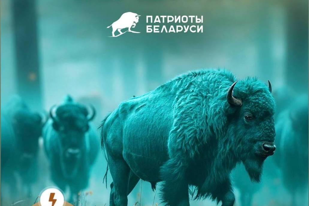 «Вершина» патриотизма в Витебске: маршруты памяти, диалоги о будущем и «Елочка желаний»