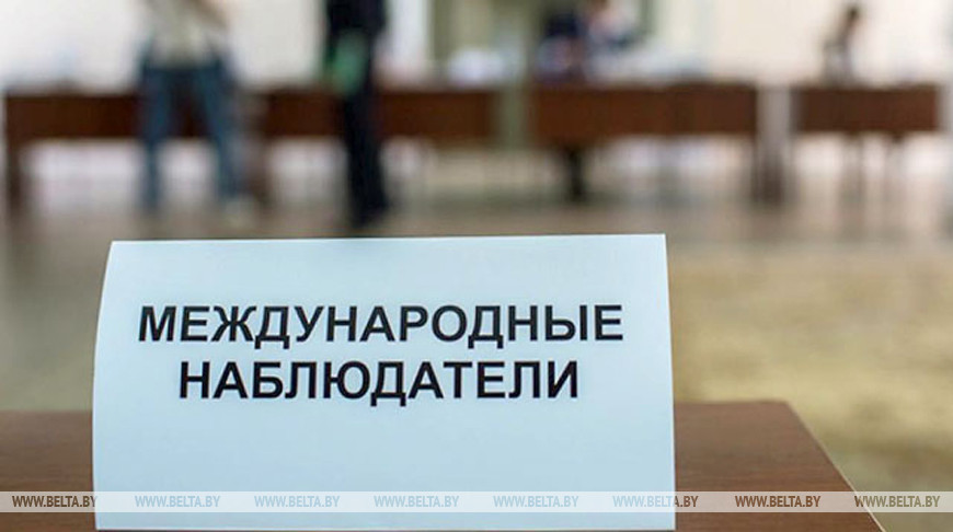 Карпенко: международное наблюдение на выборах - форма взаимодействия профессионалов в этой области