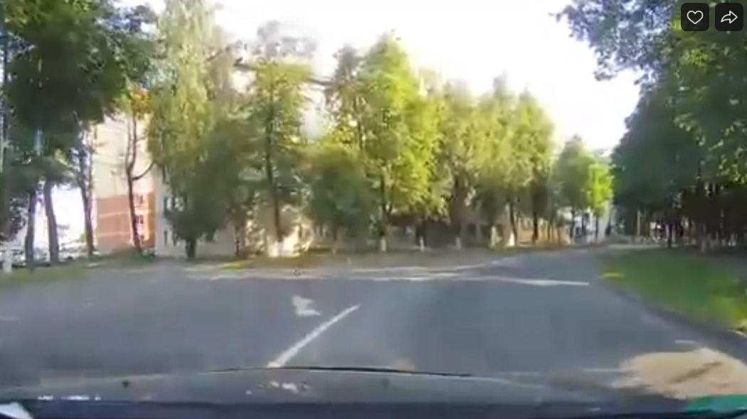 В Витебске очевидцы засняли бегающего оленёнка
