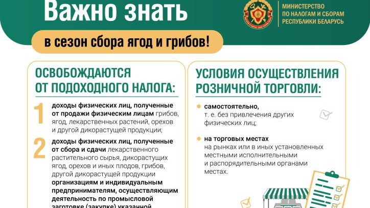 Сезон сбора ягод и грибов: в МНС напомнили, кто освобожден от уплаты подоходного налога