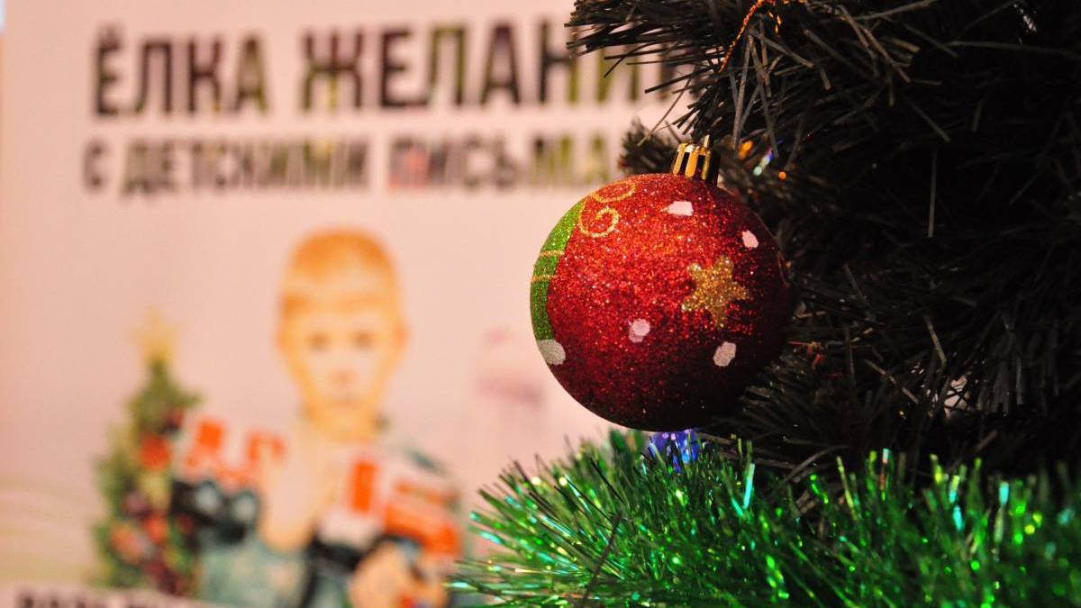 14 декабря в Витебске стартует республиканская благотворительная акция «Наши дети»