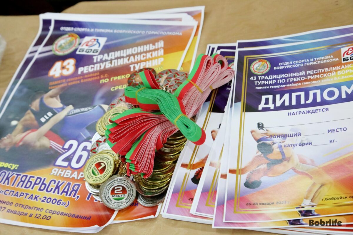 Юные спортсмены Витебска выиграли 7 медалей на турнире по греко-римской борьбе в Бобруйске