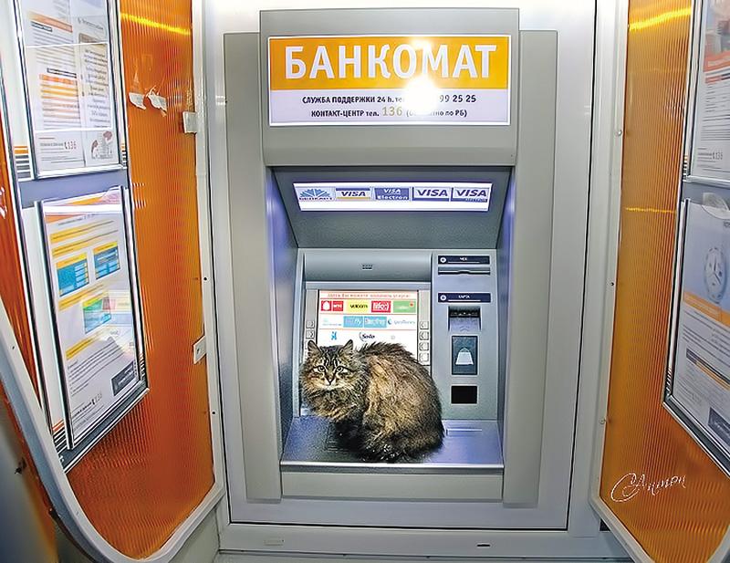 Банковские карточки могут не работать 21 апреля