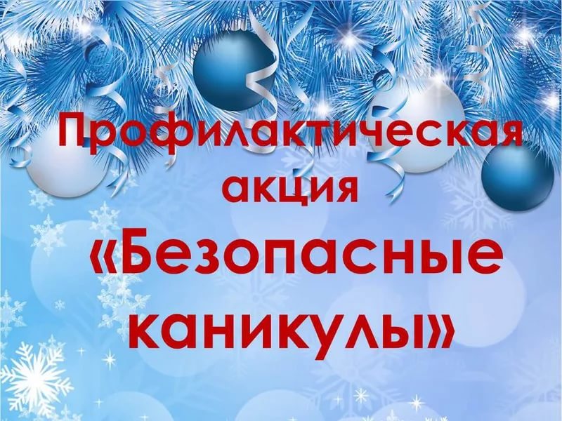 Зимние каникулы: какие правила безопасности знают юные витебчане