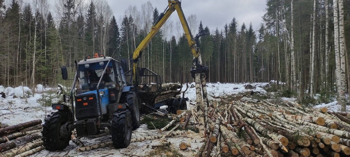 Ежегодно силами Богушевского лесхоза на всех видах рубок заготавливается около 200 тыс. кубометров древесины