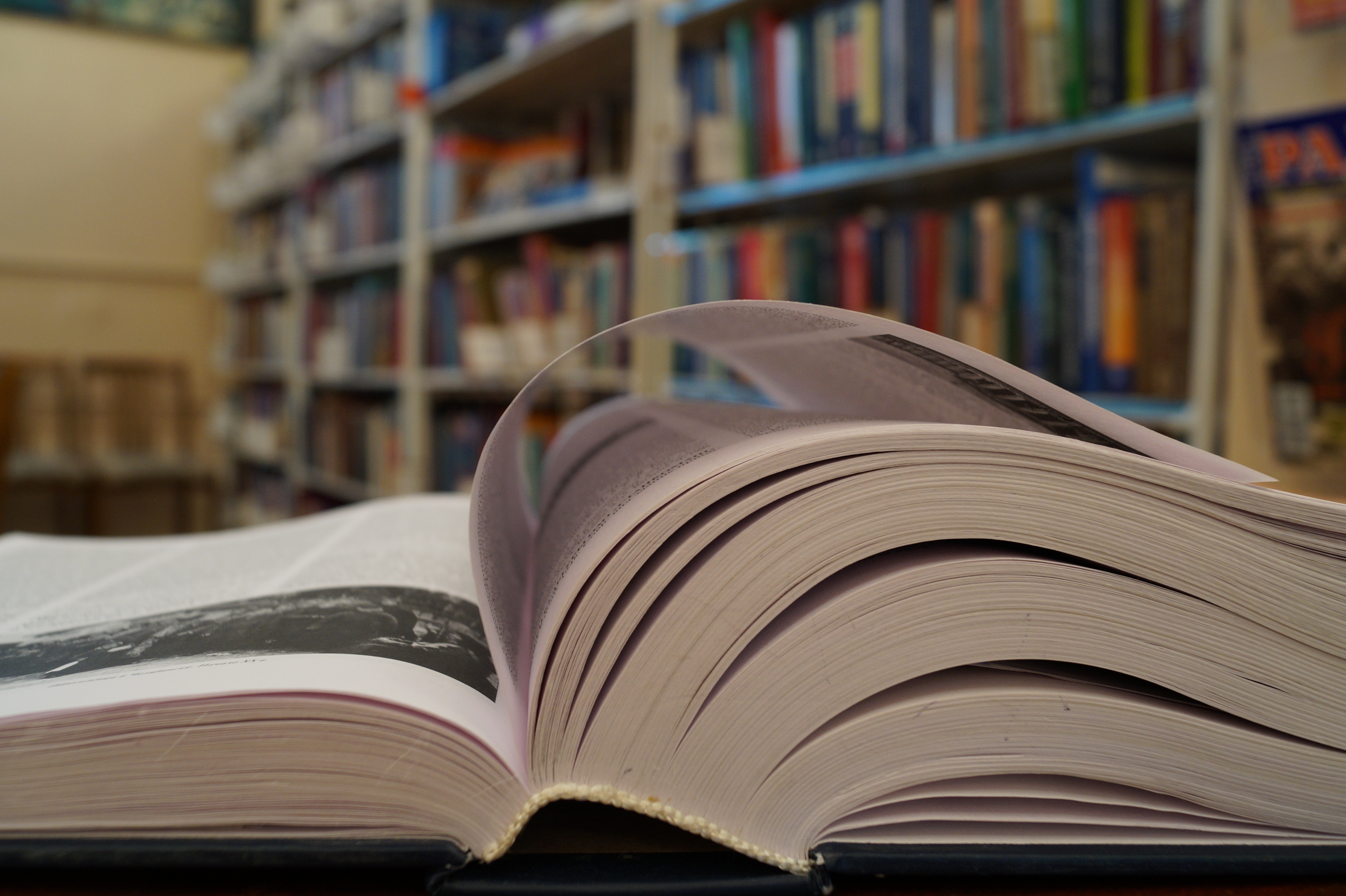 Неделя детской книги началась в библиотеках Новополоцка