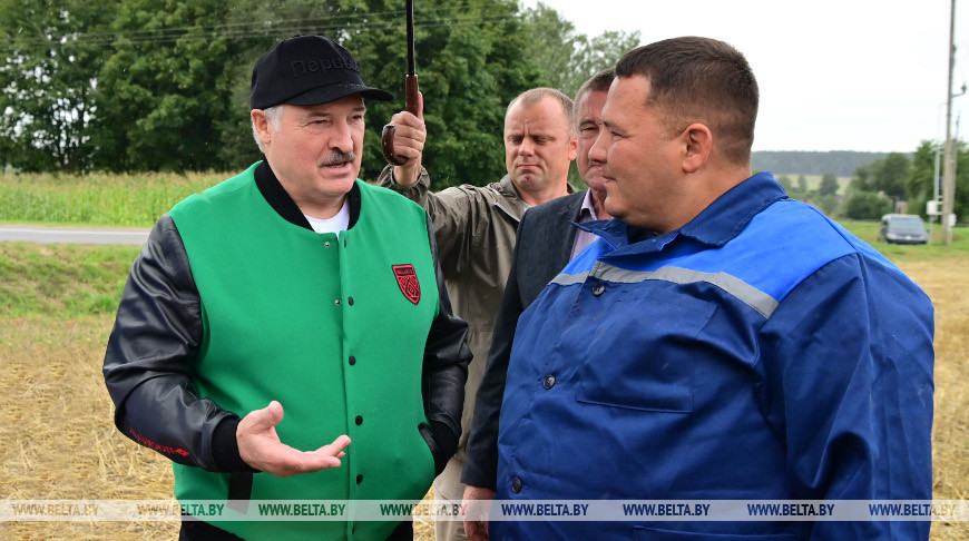 "Ни одна страна так не помогает!" Александр Лукашенко озвучил формулу для поддержки в сельском хозяйстве