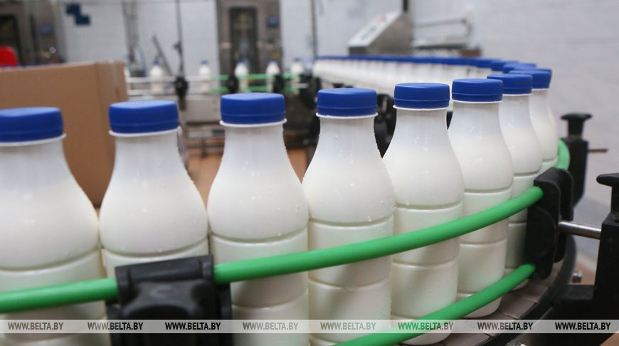 Производство продуктов питания в Беларуси в 2020 году выросло на 2,9%