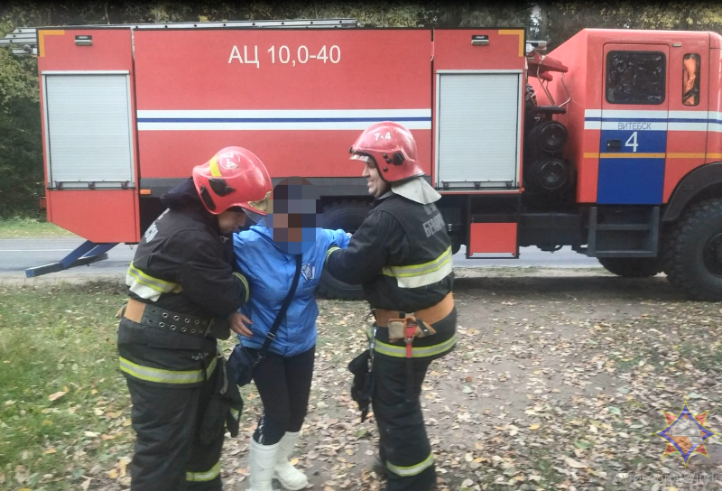 В Витебском районе спасатели нашли заблудившуюся в лесу женщину