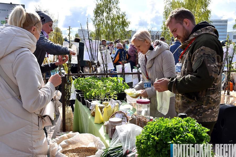 Стали известны места проведения городских весенних ярмарок в Витебске 