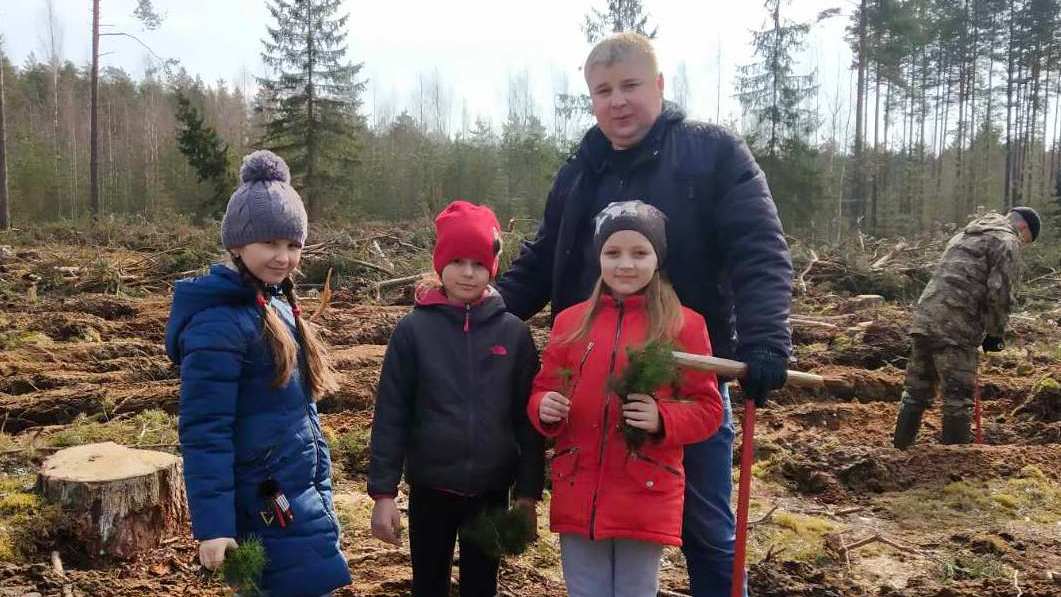 Более 3 млн деревьев посадили в Витебской области в рамках «Недели леса»