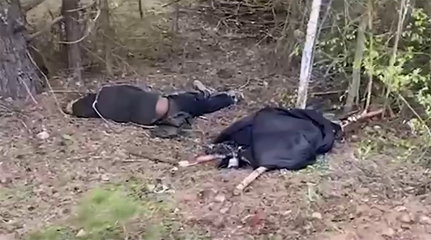 ГПК: беременная беженка без сознания обнаружена на границе с Латвией
