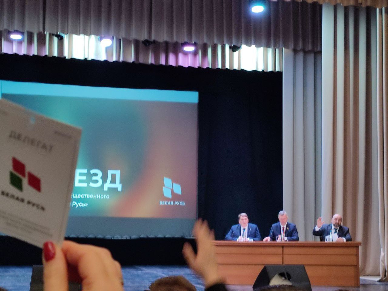 10 делегатов от Витебской областной организации РОО "Белая Русь" представят область на ВНС