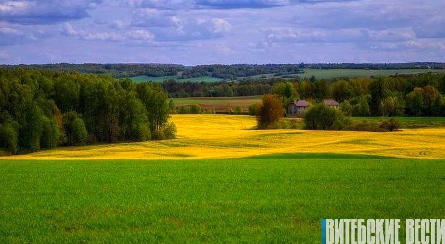 Прогноз погоды в Беларуси на 21 мая: до плюс 23 градусов и без осадков