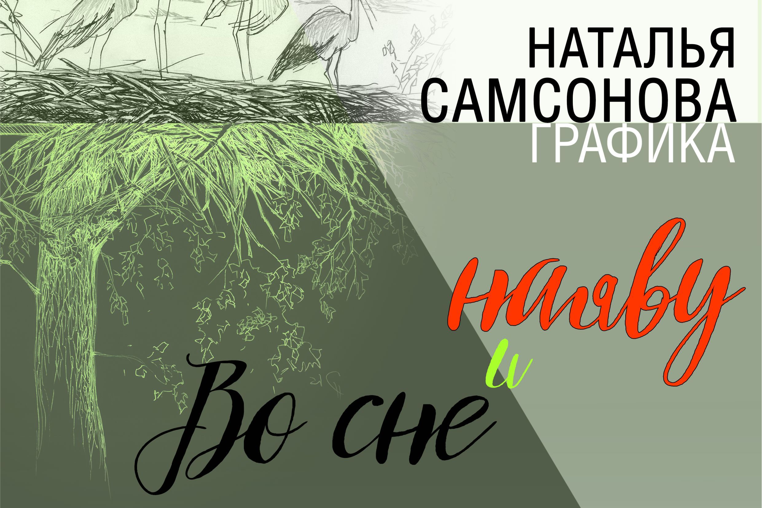 В Витебске открылась выставка работ Натальи Самсоновой  «Во сне и наяву»