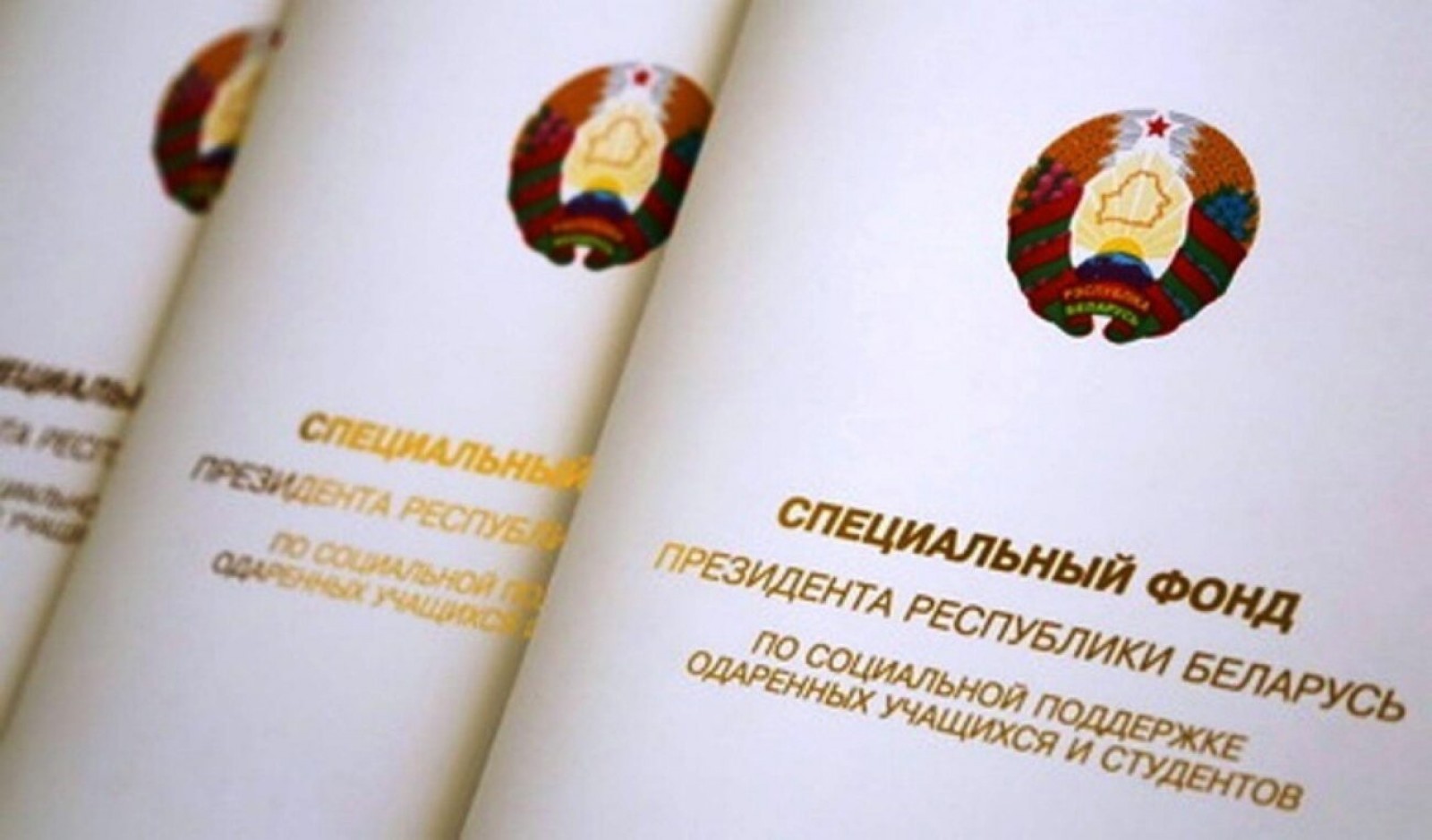 Учащиеся из Новолукомля получили стипендию специального фонда Президента за экологические проекты