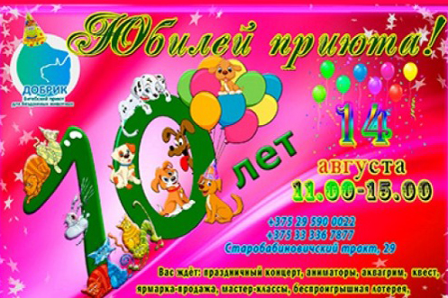 Витебский приют для бездомных животных отметит 10-летний юбилей
