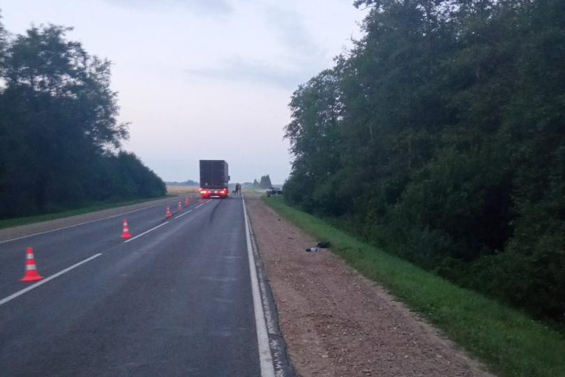 В Полоцком районе гузовик сбил насмерть пешеходку 