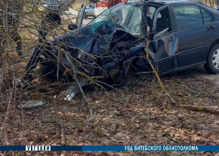 В Городокском районе иномарка врезалась в придорожное дерево, погиб водитель