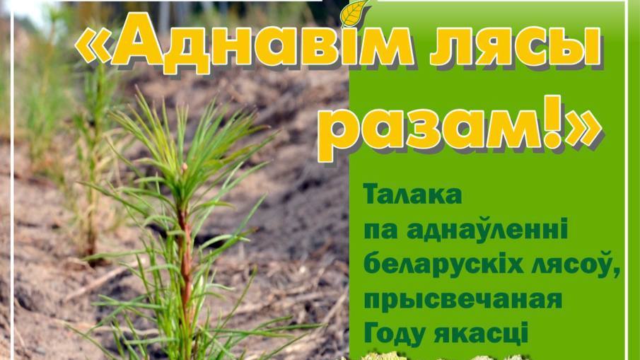 23 марта стартует традиционная республиканская добровольная акция «Аднавім лясы разам!»