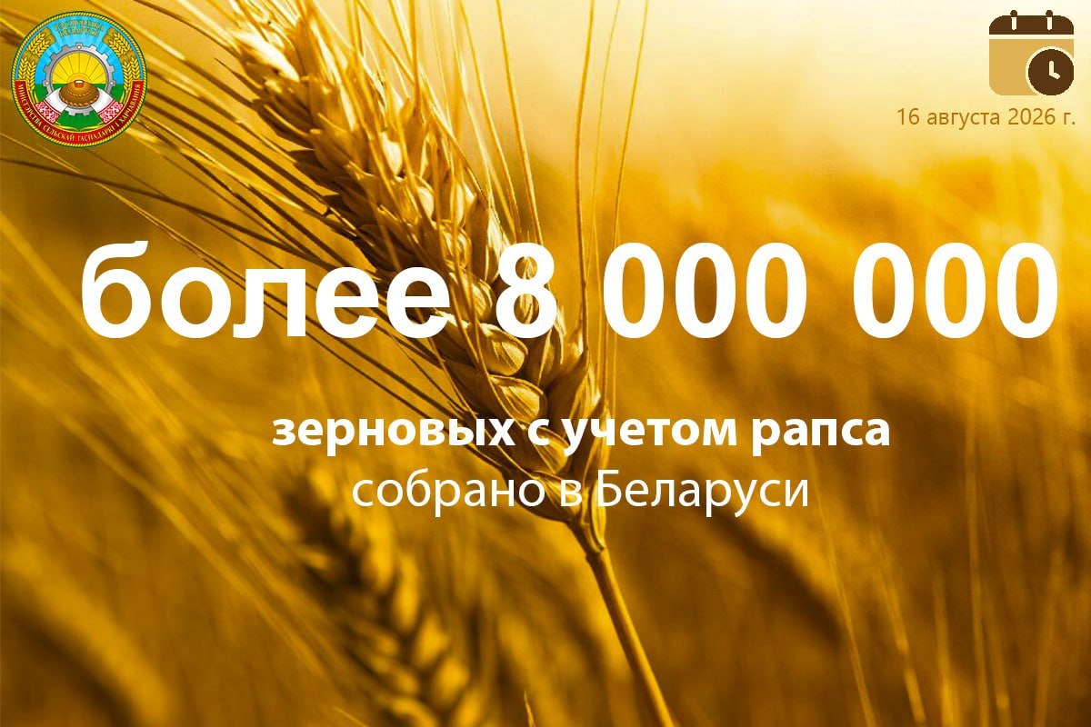 Белорусские аграрии намолотили 8 млн тонн зерна 
