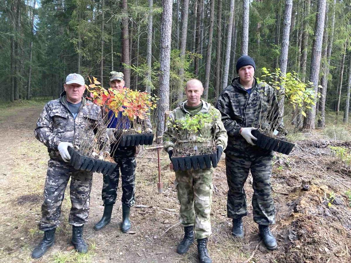 В Глубокском районе заложили экспериментальную делянку в рамках акции «Адновім лясы разам»
