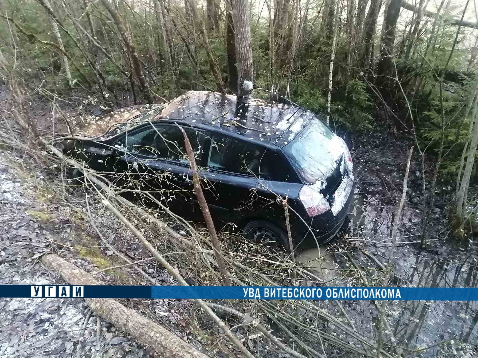 В Докшицком районе легковушка съехала в кювет: пострадал пассажир