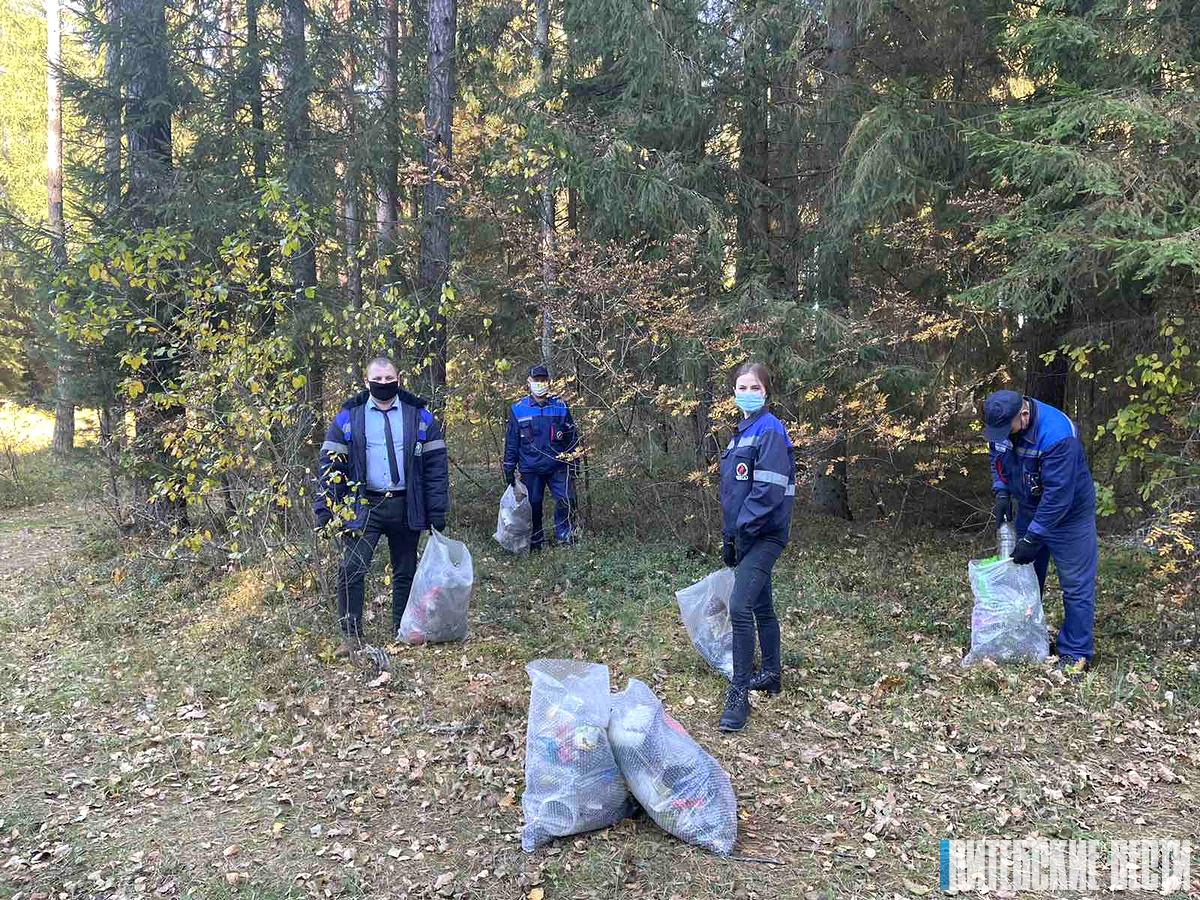 В Витебской области прошла акция «Чистый лес»
