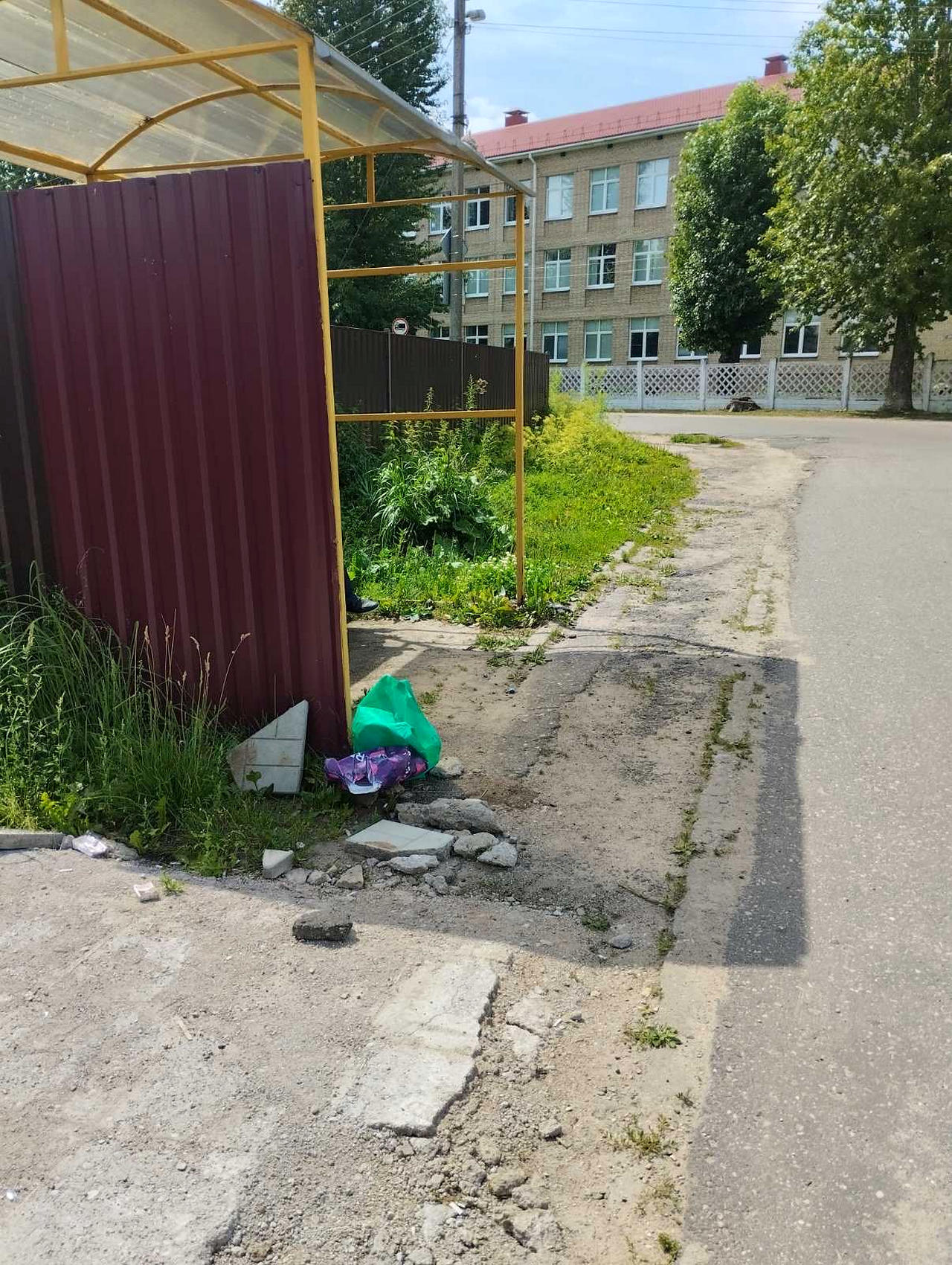 Житель Витебска пожаловался на качество уборки придомовых территорий