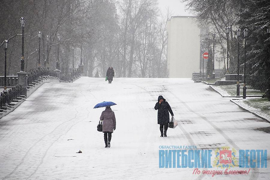 В Беларуси ухудшилась дорожная обстановка