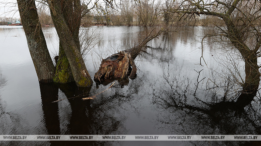 Белгидромет: уровень воды в большинстве рек продолжает расти