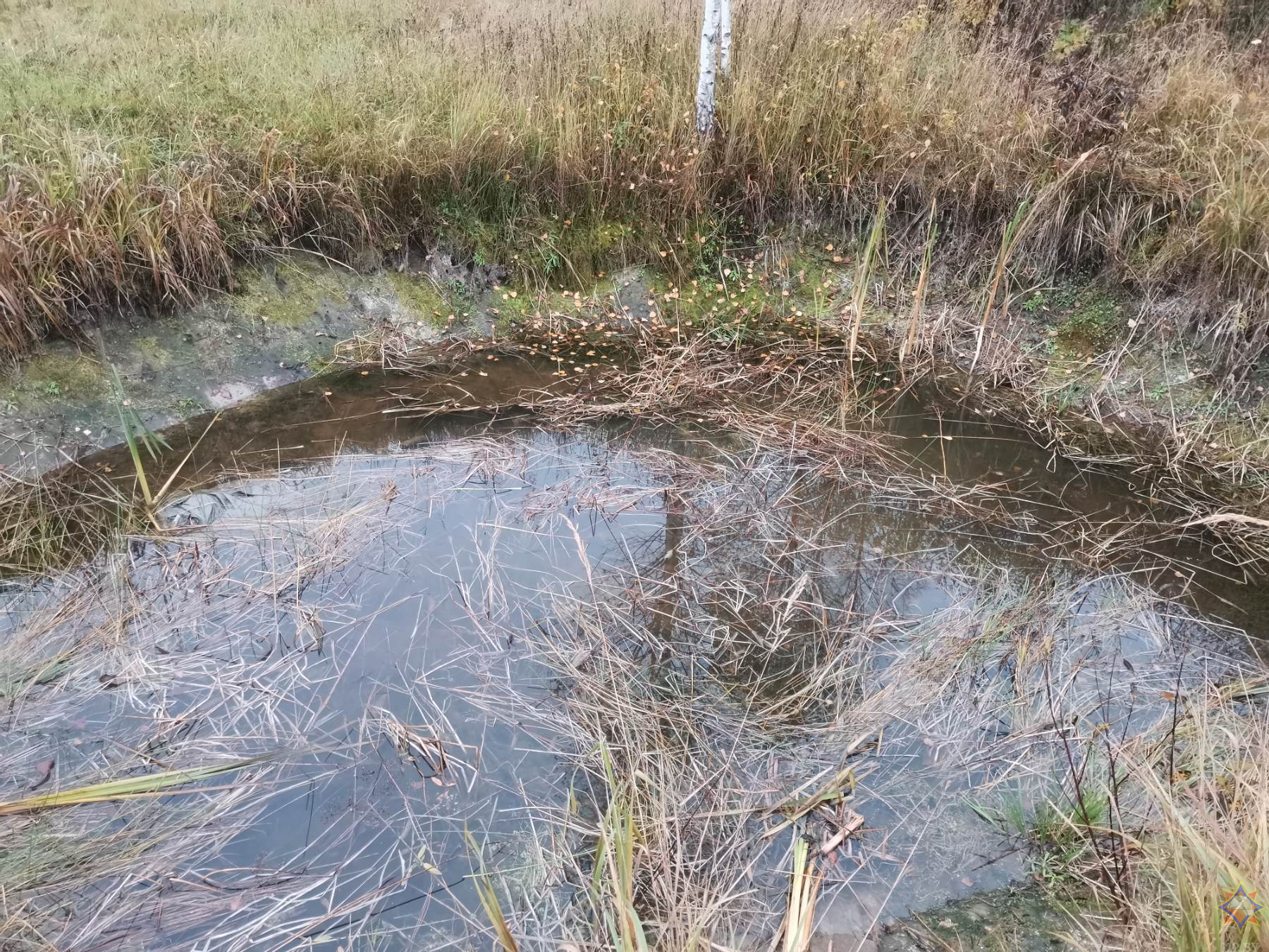 В водоеме-копани в Городокском районе найдено тело пенсионера