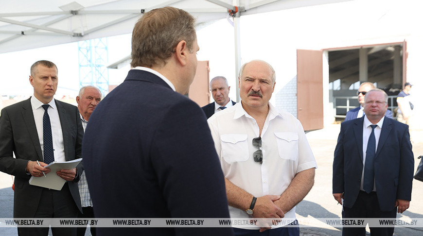 Лукашенко поручил запретить вывоз семян рапса из страны