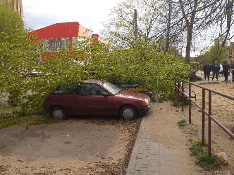 Непогода в Витебской области: повреждено 5 автомобилей и ЛЭП