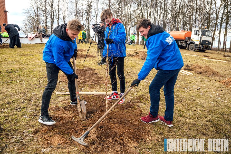 Минприроды приглашает поучаствовать в закладке парков и аллей в Год исторической памяти
