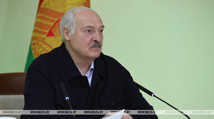 Лукашенко предупредил об ответственности для тех, кто гробит минеральные удобрения в аграрной сфере