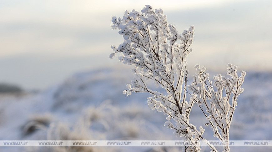 Погода в Витебске на 11 января: небольшой снег и до -6°C