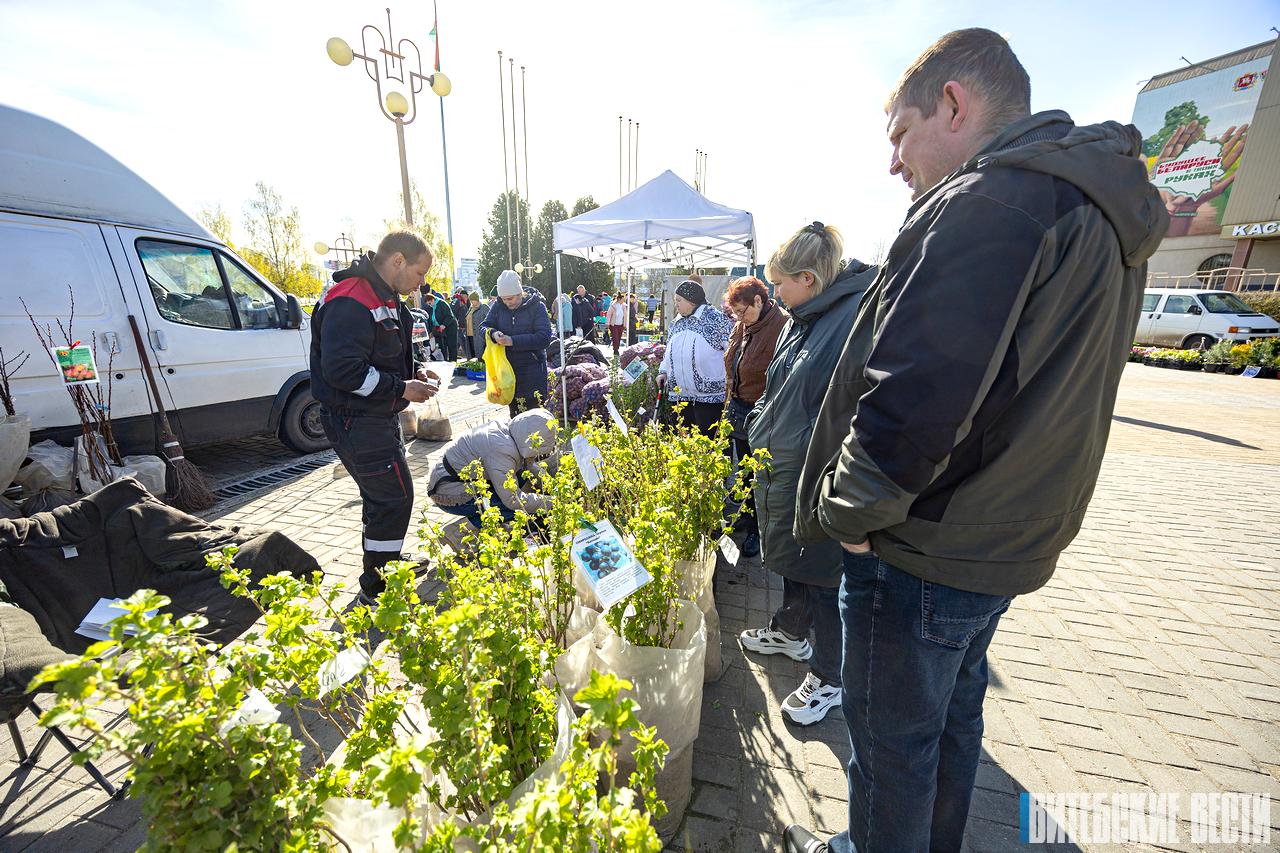 В Витебске проходит городская ярмарка