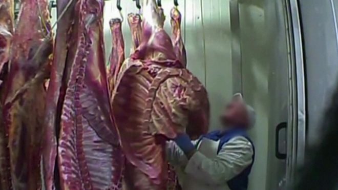 Испорченную говядину предприятие из Польши поставляло в 11 стран ЕС