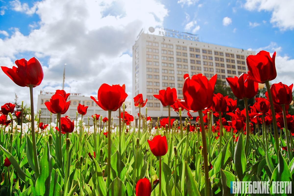 Погода в Витебске на 2 июня: без осадков и до +22°C
