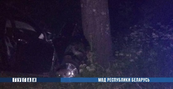 В Лепельском районе иномарка врезалась в придорожное дерево, погиб пассажир