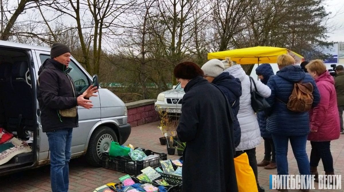 В Беларуси вводится лицензирование на вывоз лука и яблок