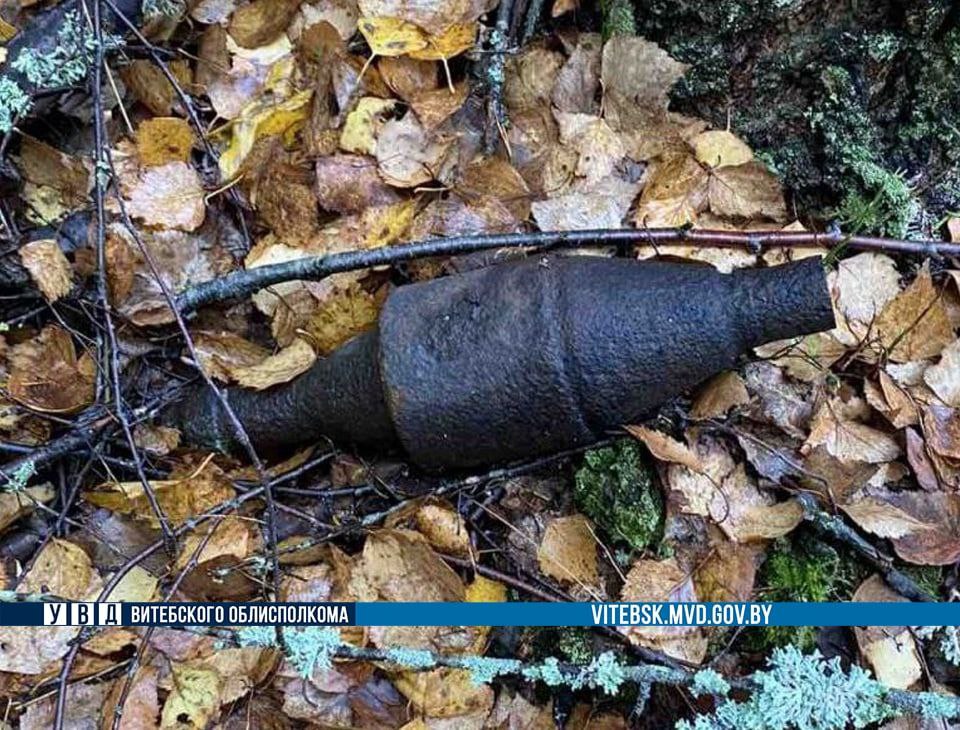 В лесу в Полоцком районе грибник нашел раритетный боеприпас